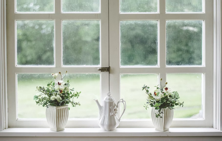 plants on a window sill